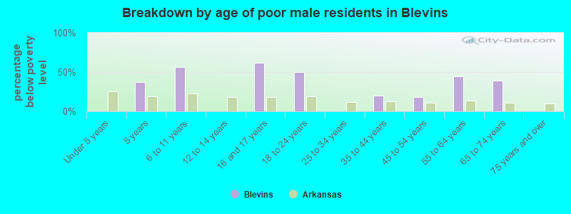 Breakdown by age of poor male residents in Blevins