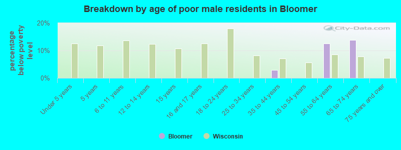 Breakdown by age of poor male residents in Bloomer