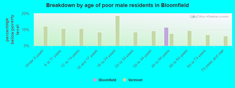 Breakdown by age of poor male residents in Bloomfield