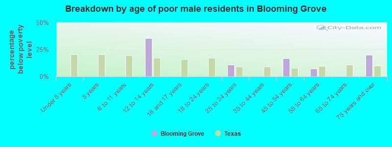Breakdown by age of poor male residents in Blooming Grove