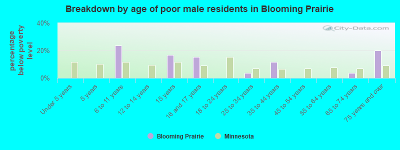 Breakdown by age of poor male residents in Blooming Prairie