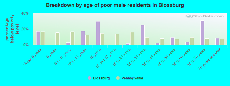 Breakdown by age of poor male residents in Blossburg