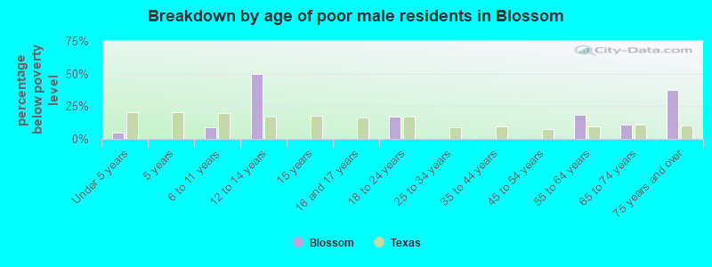 Breakdown by age of poor male residents in Blossom