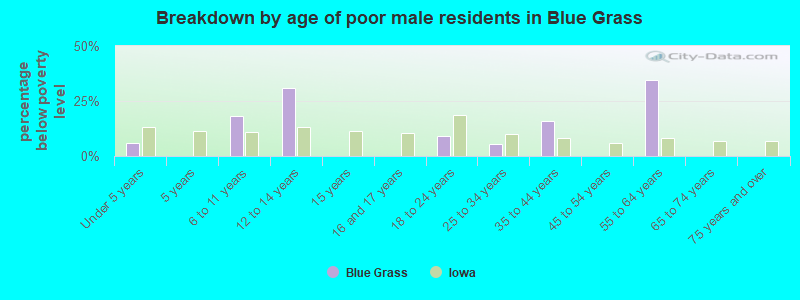 Breakdown by age of poor male residents in Blue Grass