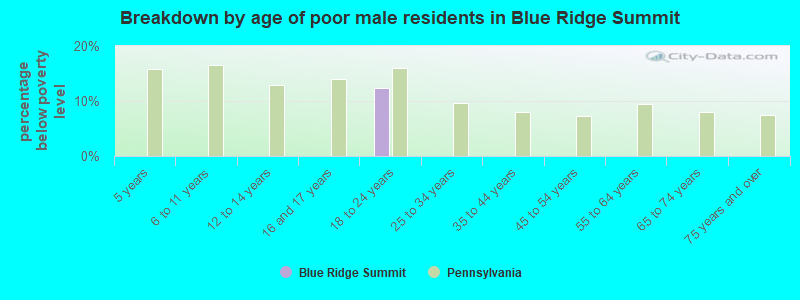 Breakdown by age of poor male residents in Blue Ridge Summit