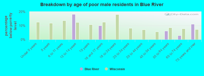 Breakdown by age of poor male residents in Blue River