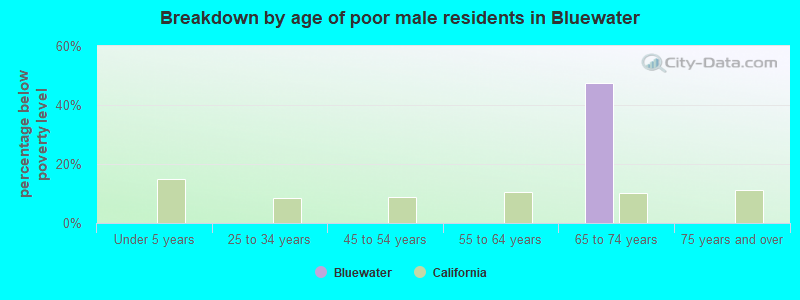 Breakdown by age of poor male residents in Bluewater