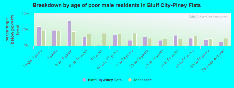 Breakdown by age of poor male residents in Bluff City-Piney Flats