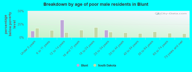 Breakdown by age of poor male residents in Blunt