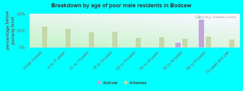 Breakdown by age of poor male residents in Bodcaw
