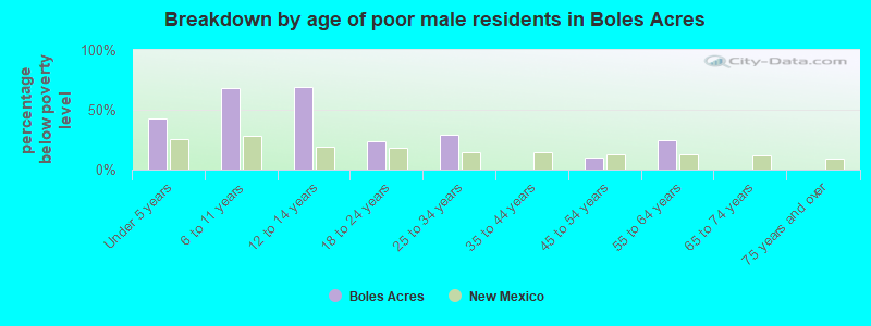 Breakdown by age of poor male residents in Boles Acres
