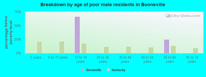 Breakdown by age of poor male residents in Booneville