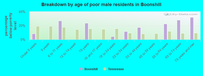 Breakdown by age of poor male residents in Boonshill