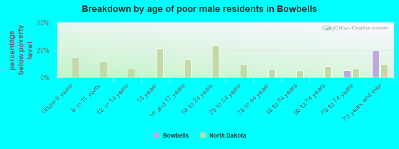 Breakdown by age of poor male residents in Bowbells