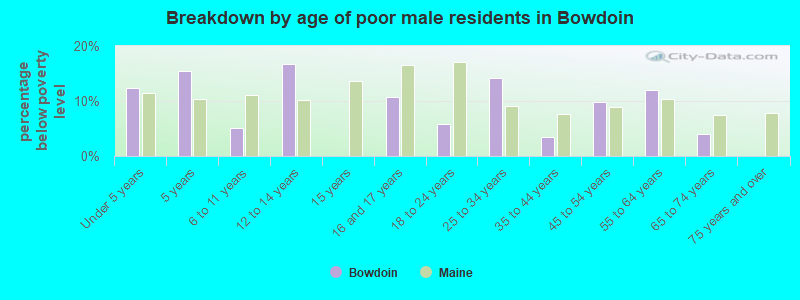 Breakdown by age of poor male residents in Bowdoin