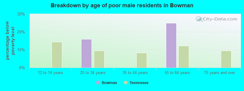 Breakdown by age of poor male residents in Bowman