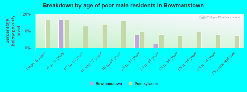 Breakdown by age of poor male residents in Bowmanstown