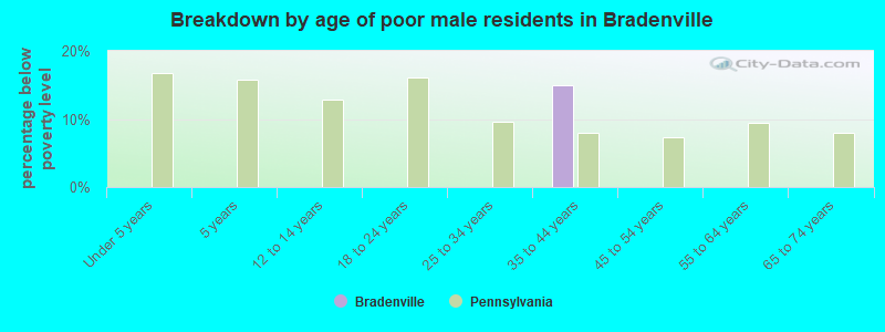 Breakdown by age of poor male residents in Bradenville