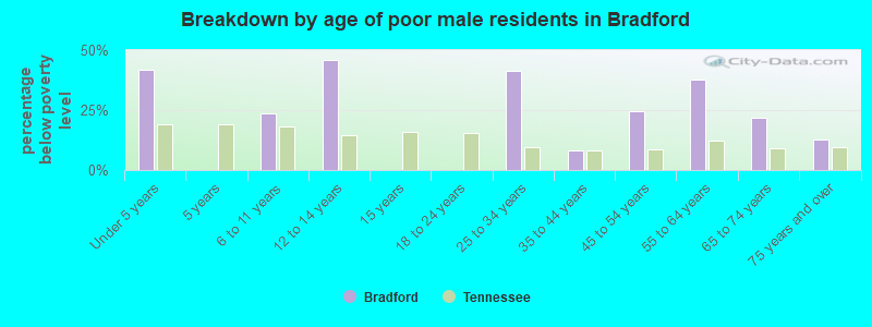 Breakdown by age of poor male residents in Bradford