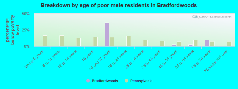 Breakdown by age of poor male residents in Bradfordwoods