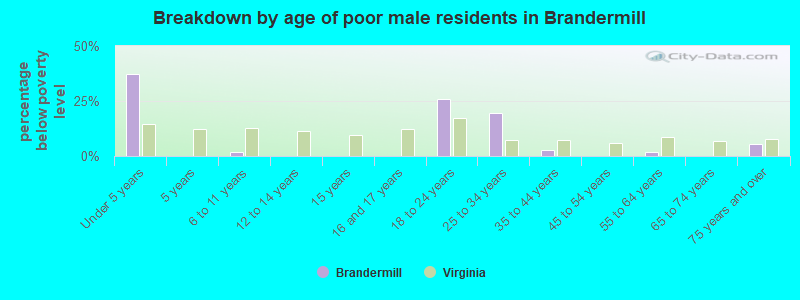 Breakdown by age of poor male residents in Brandermill