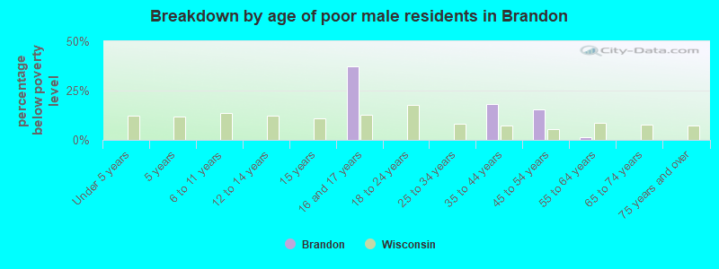 Breakdown by age of poor male residents in Brandon