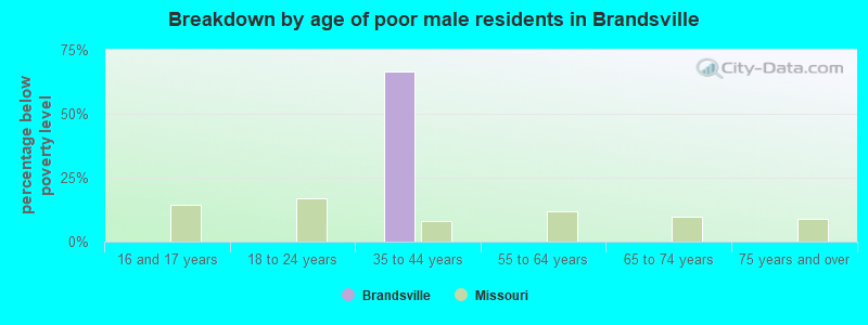 Breakdown by age of poor male residents in Brandsville