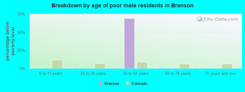 Breakdown by age of poor male residents in Branson
