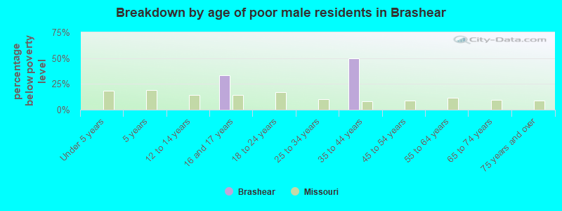 Breakdown by age of poor male residents in Brashear