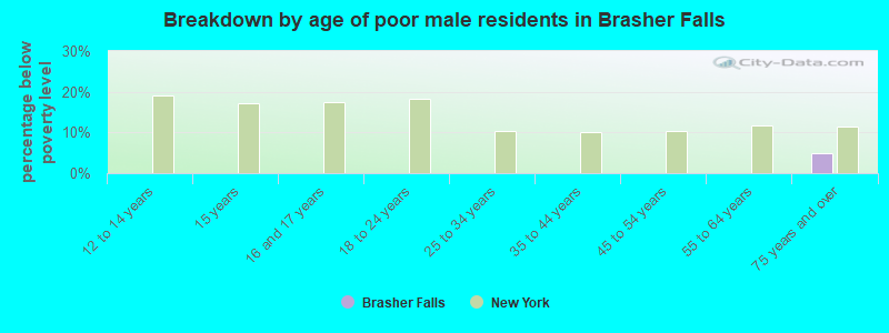Breakdown by age of poor male residents in Brasher Falls