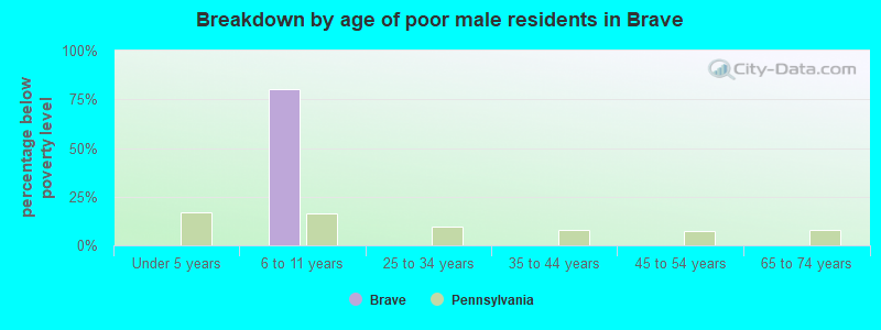 Breakdown by age of poor male residents in Brave