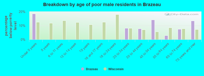 Breakdown by age of poor male residents in Brazeau