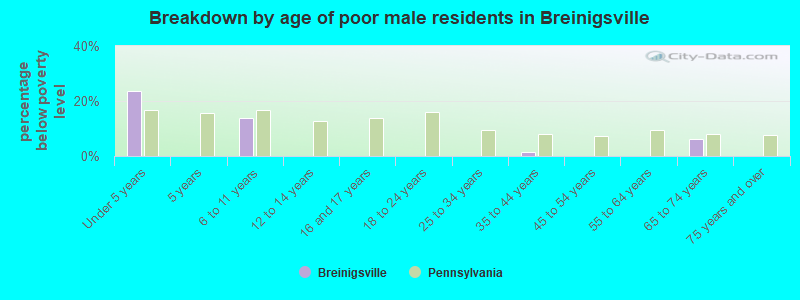 Breakdown by age of poor male residents in Breinigsville