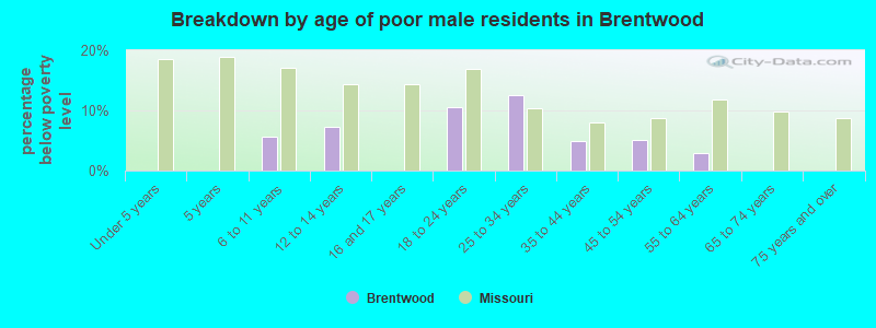 Breakdown by age of poor male residents in Brentwood