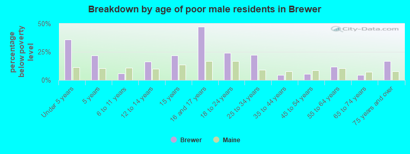Breakdown by age of poor male residents in Brewer