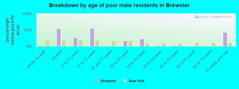 Breakdown by age of poor male residents in Brewster
