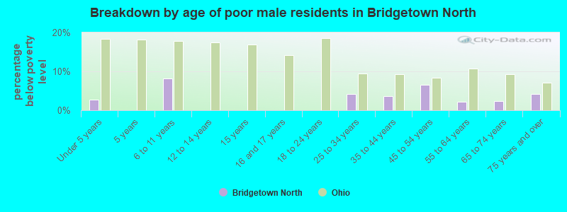 Breakdown by age of poor male residents in Bridgetown North