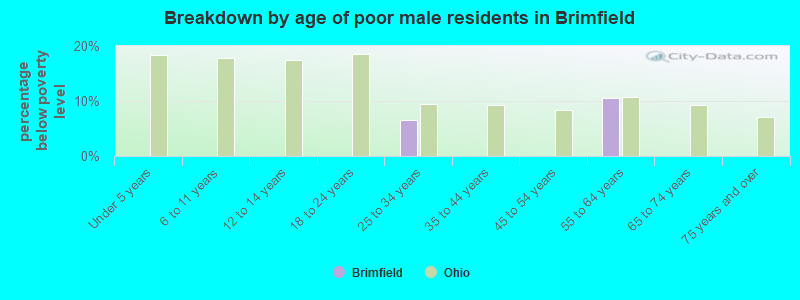 Breakdown by age of poor male residents in Brimfield