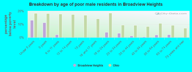 Breakdown by age of poor male residents in Broadview Heights