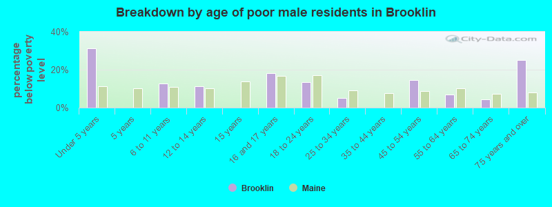 Breakdown by age of poor male residents in Brooklin