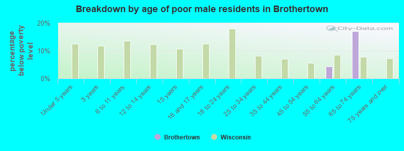 Breakdown by age of poor male residents in Brothertown
