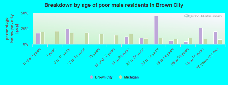 Breakdown by age of poor male residents in Brown City