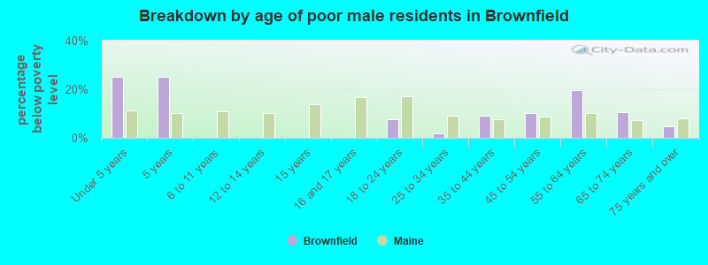 Breakdown by age of poor male residents in Brownfield