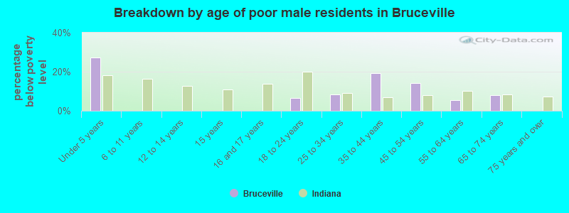 Breakdown by age of poor male residents in Bruceville