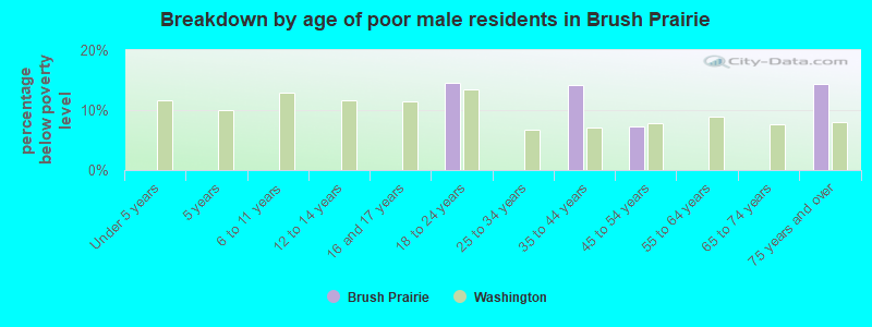 Breakdown by age of poor male residents in Brush Prairie