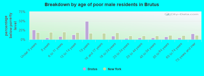 Breakdown by age of poor male residents in Brutus