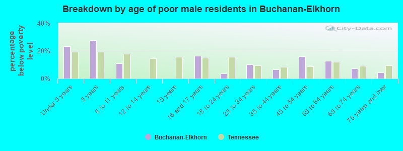 Breakdown by age of poor male residents in Buchanan-Elkhorn