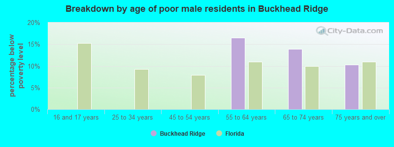 Breakdown by age of poor male residents in Buckhead Ridge