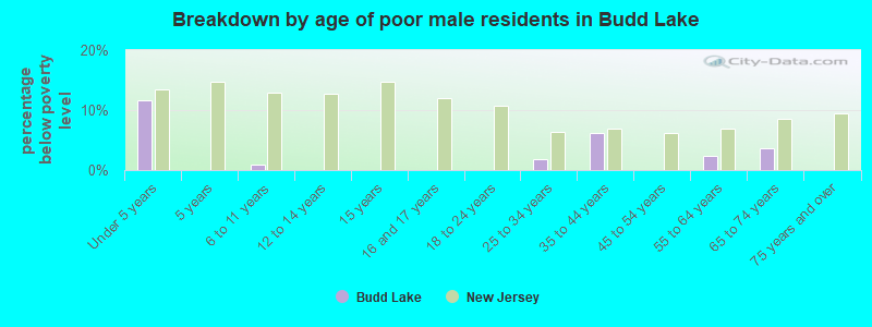 Breakdown by age of poor male residents in Budd Lake