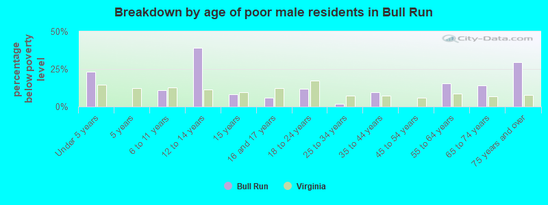 Breakdown by age of poor male residents in Bull Run